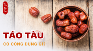 công dụng của táo tàu