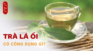 công dụng của trà lá ổi