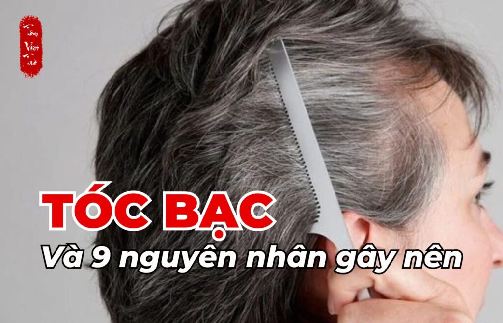 Tóc bạc và 9 nguyên nhân gây nên