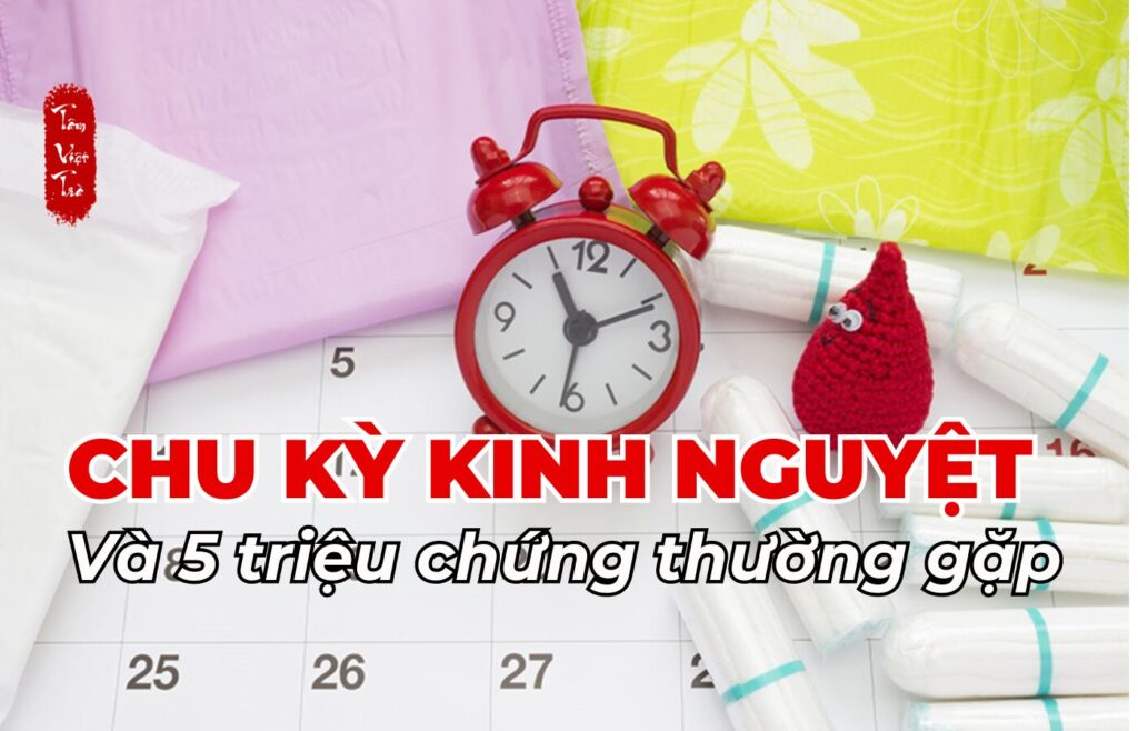 Chu kỳ kinh nguyệt và 5 triệu chứng thường gặp