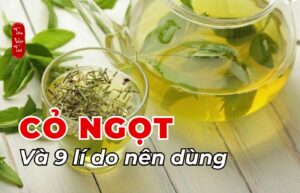 Cỏ ngọt và 9 lí do nên dùng