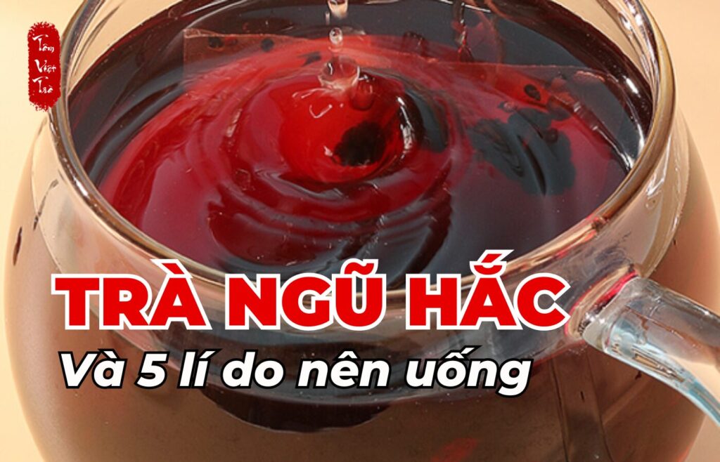 Trà ngũ hắc và 5 lí do nên uống