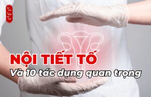 Nội tiết tố và 10 tác dụng quan trọng