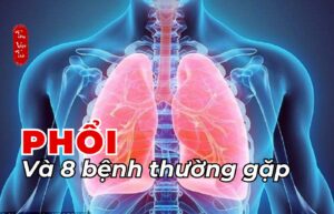 Phổi và 8 bệnh thường gặp