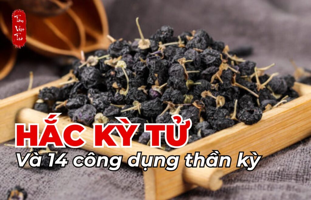 Hắc kỳ tử và 14 công dụng thần kỳ