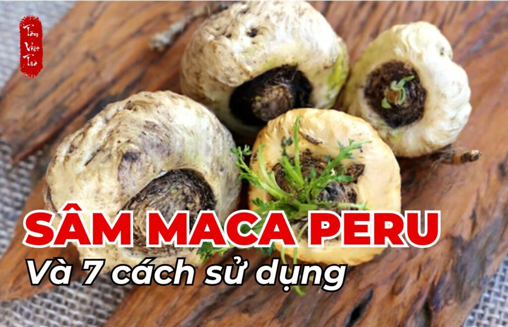 Sâm Maca Peru và 7 cách sử dụng