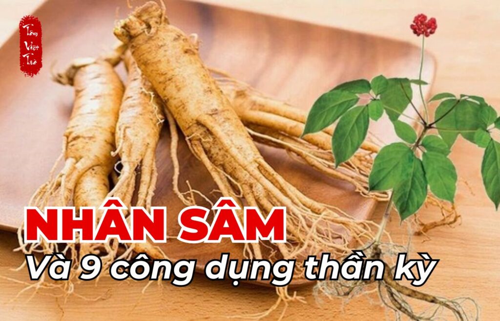 Nhân sâm và 9 công dụng thần kỳ