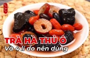 Trà hà thủ ô và 4 lí do nên dùng