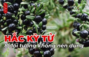 Hắc kỳ tử và 8 đối tượng không nên dùng