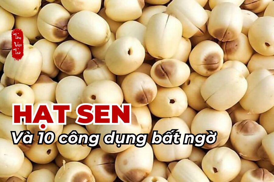 Hạt sen và 10 công dụng bất ngờ