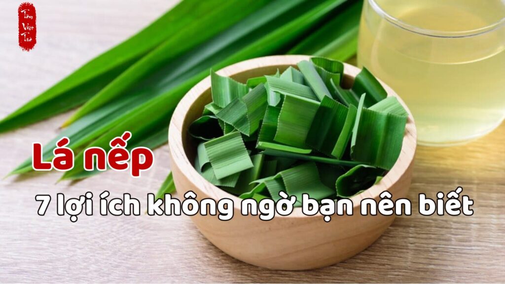 lá nếp và 7 lợi ích không ngờ mà bạn nên biết