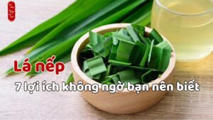 lá nếp và 7 lợi ích không ngờ mà bạn nên biết