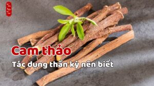 Cam thảo và 5 công dụng bất ngờ với sức khỏe