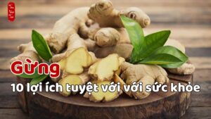 10 công dụng của gừng với sức khỏe