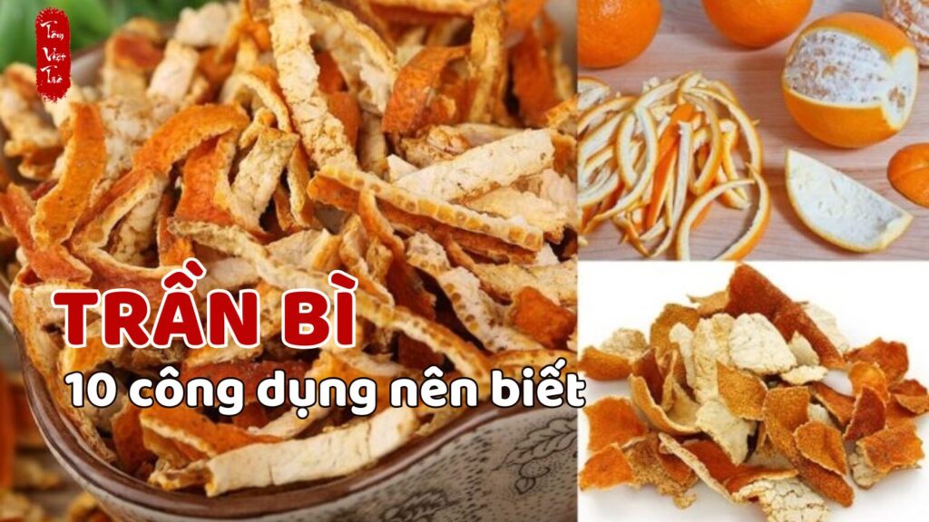 Trần bì và 10 công dụng bạn nên biết