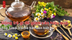 uống trà gì để giảm cân hiệu quả